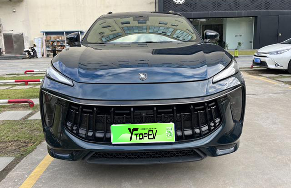 forthing t5 evo used